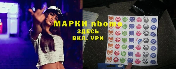гашик Вяземский