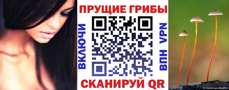 Псилоцибиновые грибы ЛСД  цены   Коряжма 