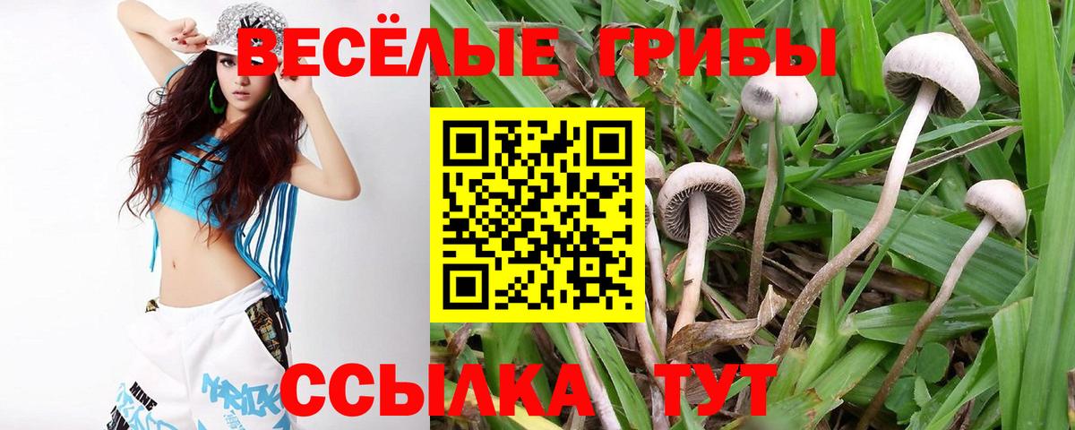 Коряжма  как найти   Вход с VPN  Псилоцибиновые грибы мухоморы 