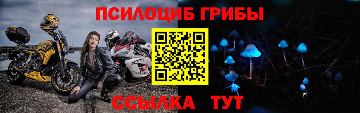 Псилоцибиновые грибы Magic Shrooms Коряжма